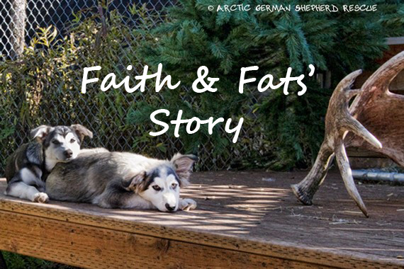 AGSR Long Road To Recovery Faith and Fats Story